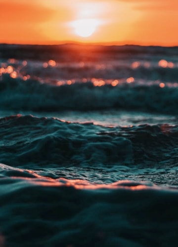 Sea